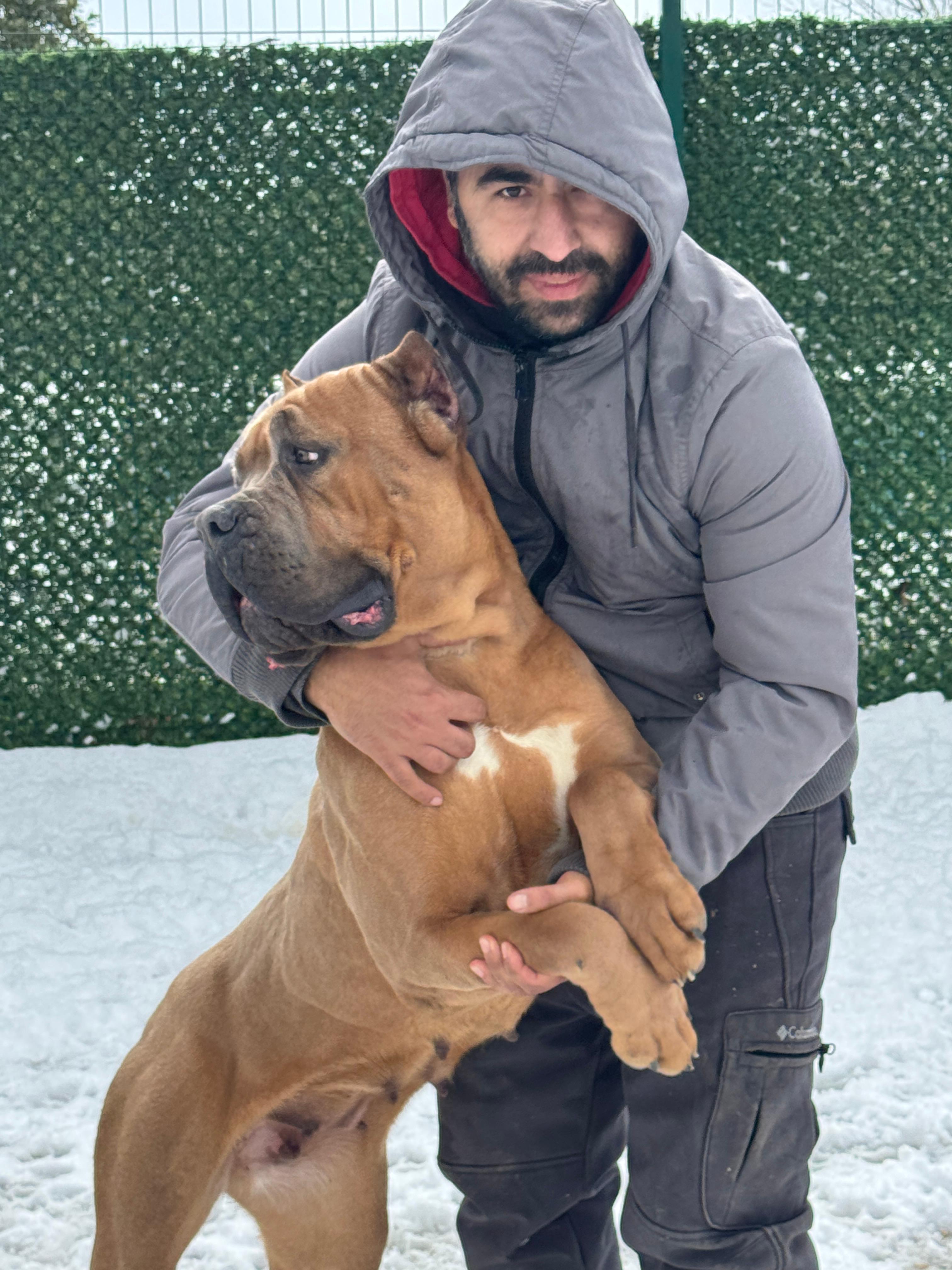 Force Pride BURBERRY