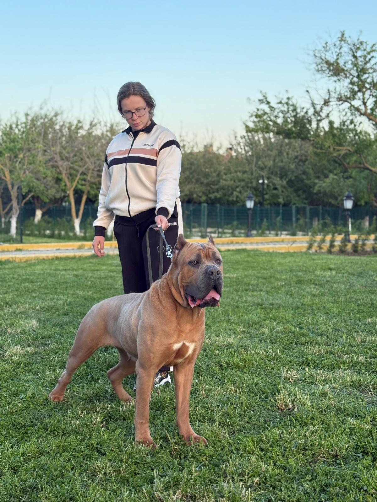 Can Yıldız ve köpeği